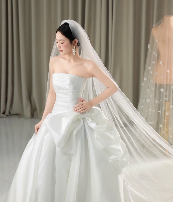 Sản phẩm váy chữ a 19